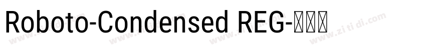 Roboto-Condensed REG字体转换